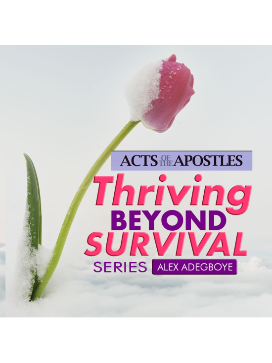 Thriving Beyond Survival (MP3)