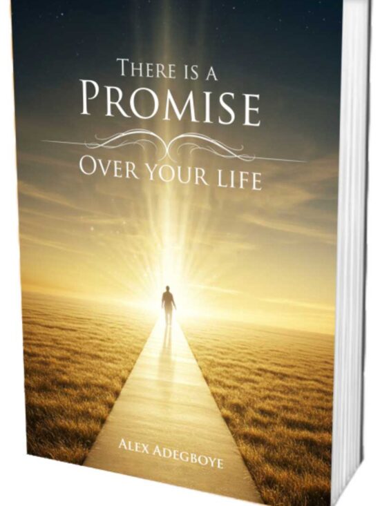 There is A Promise Over Your Life